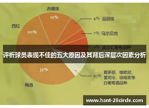 评析球员表现不佳的五大原因及其背后深层次因素分析