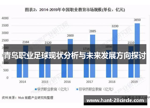 青岛职业足球现状分析与未来发展方向探讨